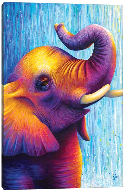 Elephant Canvas Art Print - Chromatic Kingdom