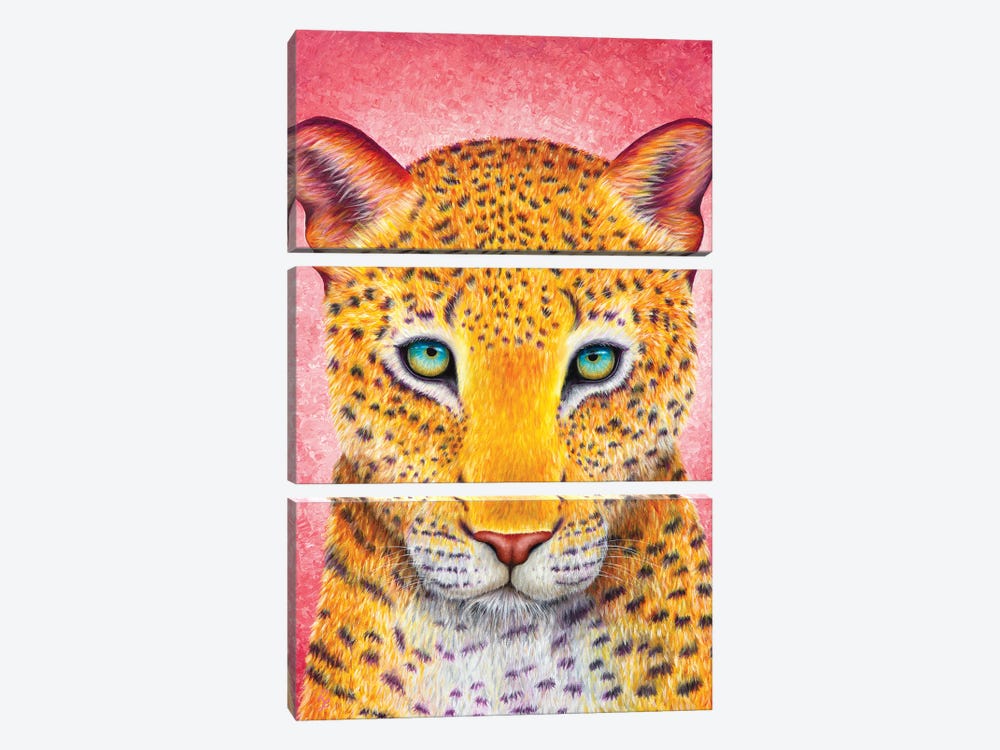 Leopard by Rachel Froud 3-piece Canvas Artwork