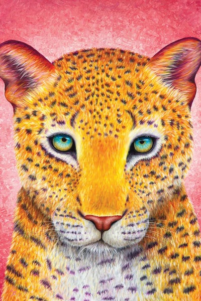 Chromatic Kingdom: Leopard by Rachel Froud