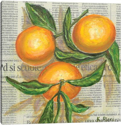 Oranges On Newspaper Canvas Art Print - Katia Ricci