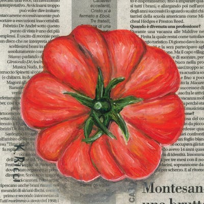 Tomato On Newspaper by Katia Ricci framed wall art