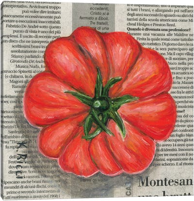 Tomato On Newspaper Canvas Art Print - Katia Ricci