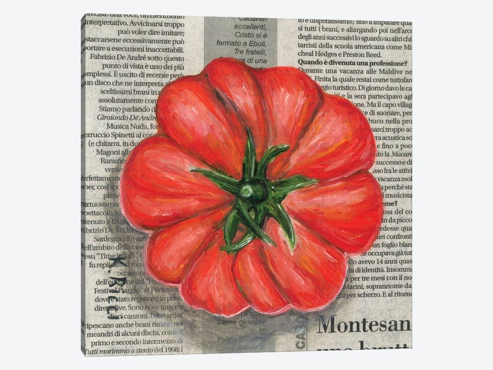 Tomato On Newspaper by Katia Ricci 1-piece Canvas Print