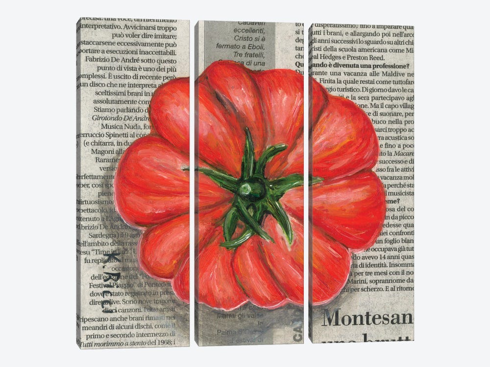 Tomato On Newspaper by Katia Ricci 3-piece Canvas Art Print