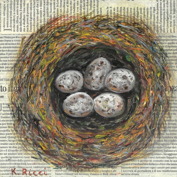 Typography: Nest With Eggs On Newspaper by Katia Ricci