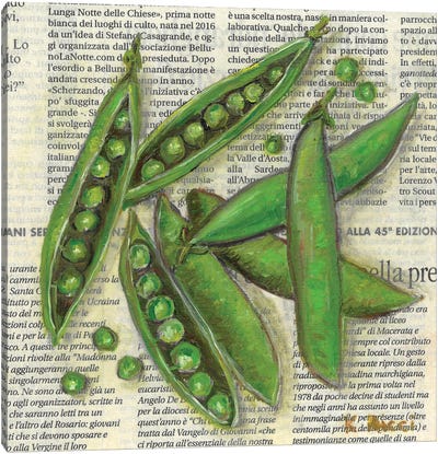 Peapods On Newspaper Canvas Art Print - Celery