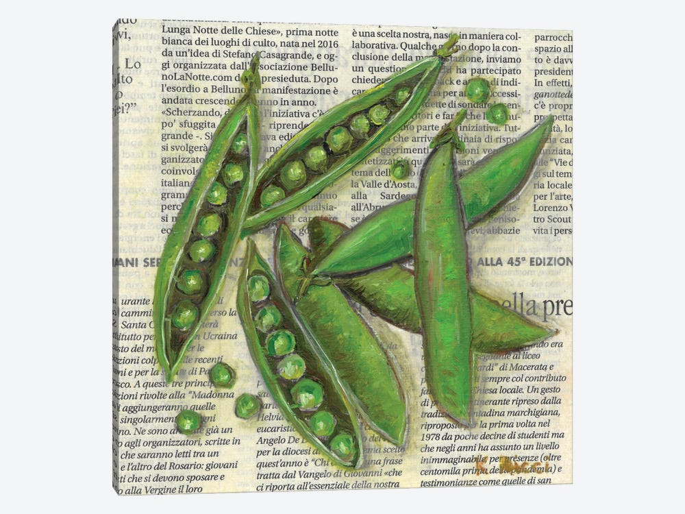 Peapods On Newspaper by Katia Ricci 1-piece Canvas Artwork