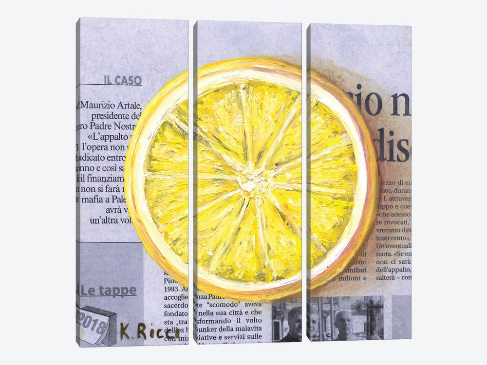 Lemon Slice On Newspaper by Katia Ricci 3-piece Canvas Art