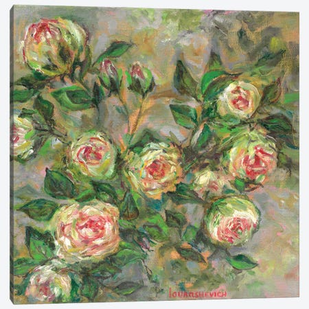 White Roses Bush Canvas Print #RCI64} by Katia Ricci Canvas Art Print