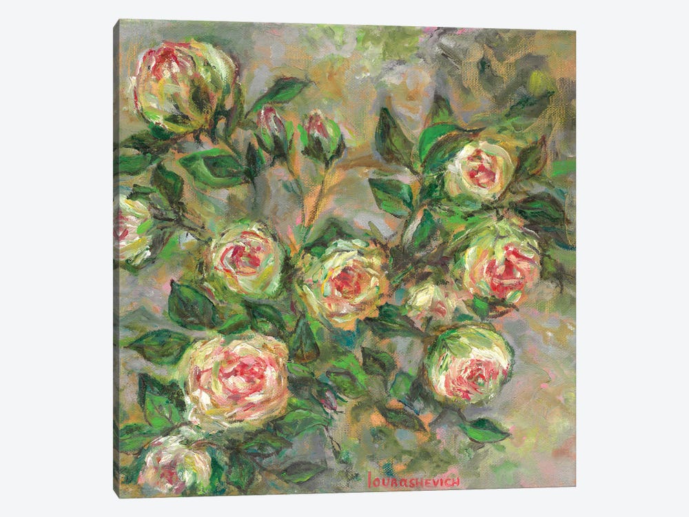 White Roses Bush by Katia Ricci 1-piece Canvas Print