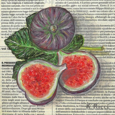 Figs On Italian Newspaper by Katia Ricci acrylic art print