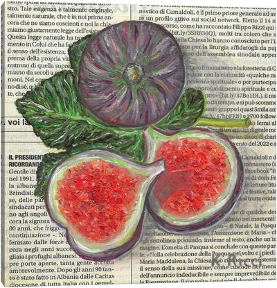 Figs On Italian Newspaper Canvas Art Print - Katia Ricci