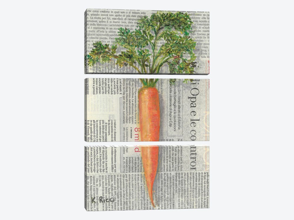Carrot On Newspaper by Katia Ricci 3-piece Canvas Artwork