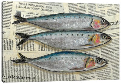 Fishes On Newspaper Canvas Art Print - Katia Ricci