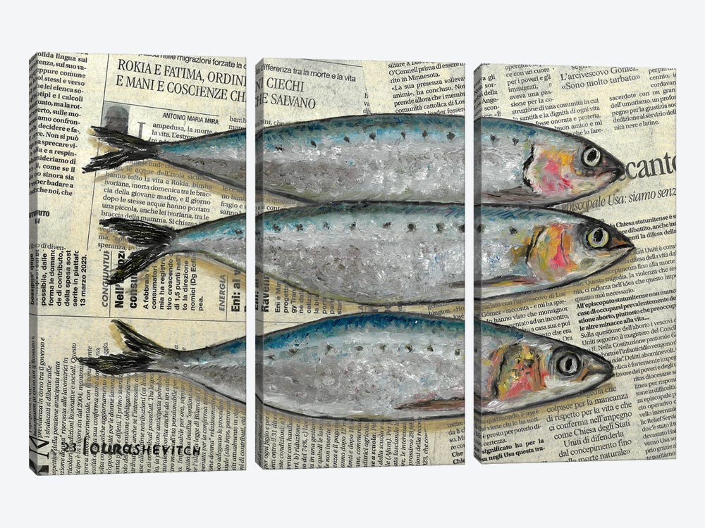 Fishes On Newspaper by Katia Ricci 3-piece Canvas Print