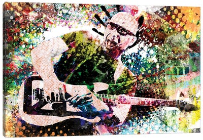 Joe Satriani "Summer Song" Canvas Art Print - Rockchromatic
