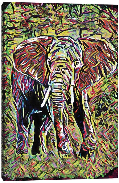 Elephant - Gentle Giants Canvas Art Print - Rockchromatic