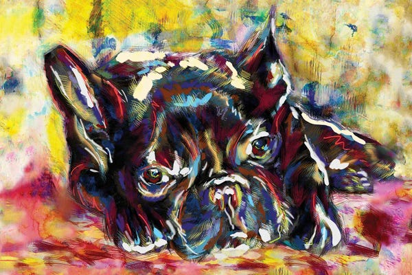 French Bulldogs: French Bulldog - Frenchie Love by Rockchromatic