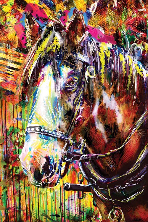 Color Horse