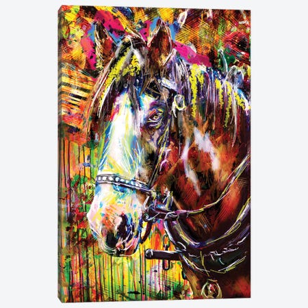 Color Horse Canvas Print #RCM261} by Rockchromatic Canvas Wall Art