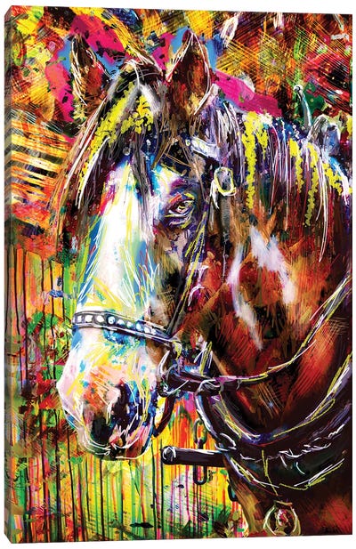 Color Horse Canvas Art Print - Rockchromatic