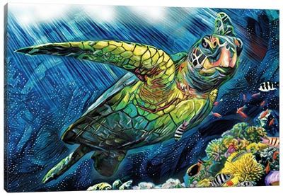 Sea Turtle Canvas Art Print - Rockchromatic
