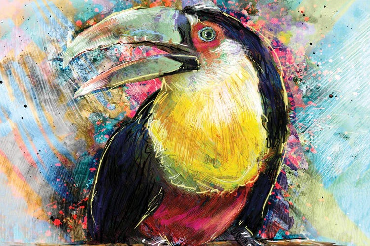 Toucan by Rockchromatic wall art