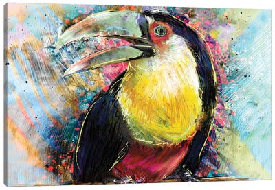 Toucan Canvas Art Print - Rockchromatic