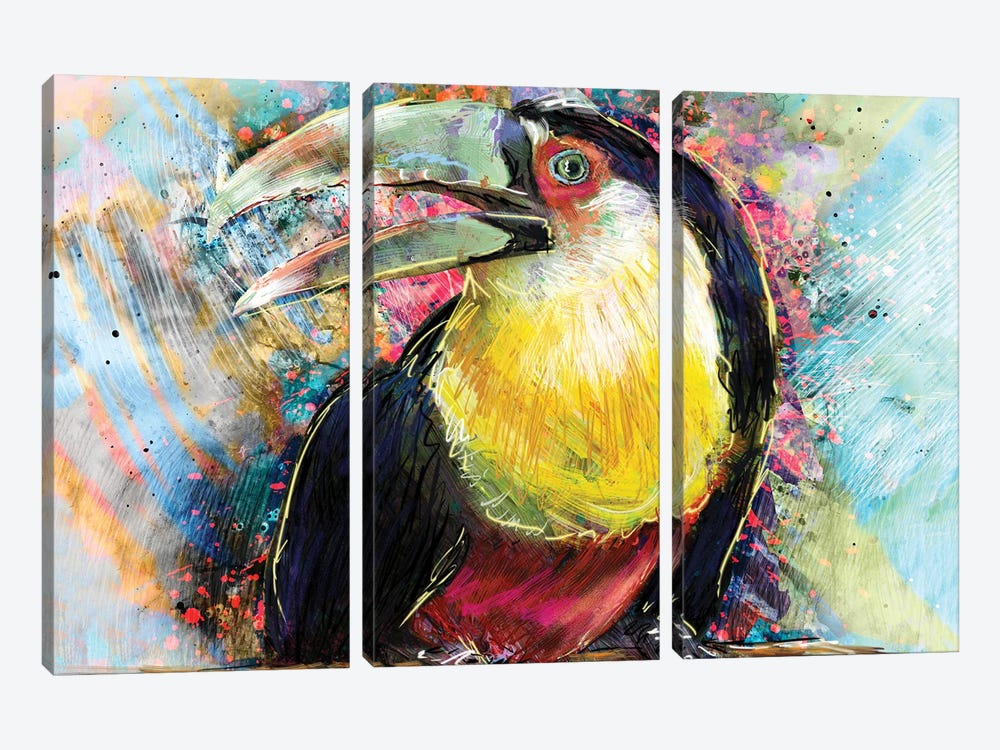 Toucan by Rockchromatic 3-piece Art Print