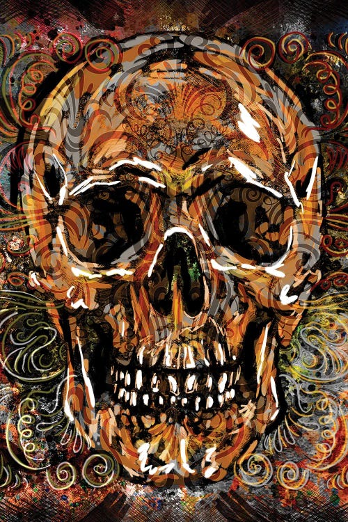 Skull - Nature's Sculpture