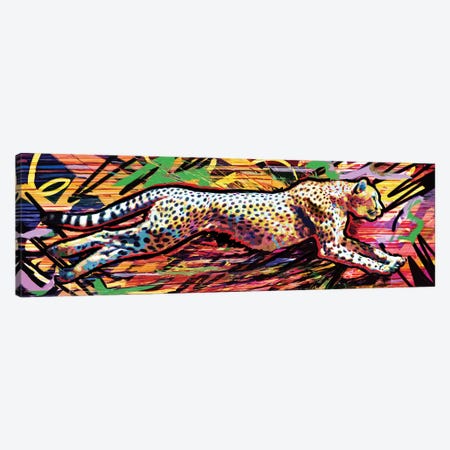 Cheetah "90 MPH" Canvas Print #RCM289} by Rockchromatic Canvas Art