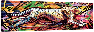 Cheetah "90 MPH" Canvas Art Print - Rockchromatic