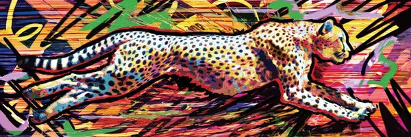Cheetahs: Cheetah "90 MPH" by Rockchromatic
