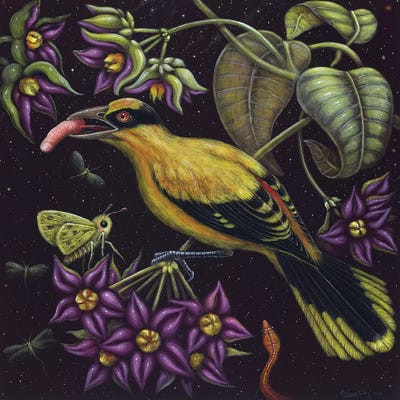 Birdfinger by R.S. Connett art print