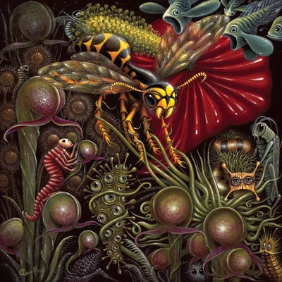 Flora Vs. Fauna by R.S. Connett canvas print