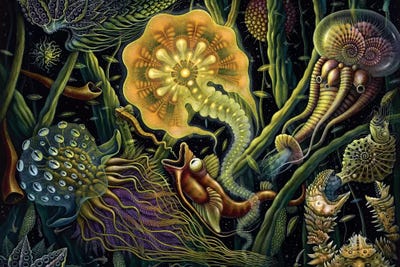 Light Creature by R.S. Connett canvas print