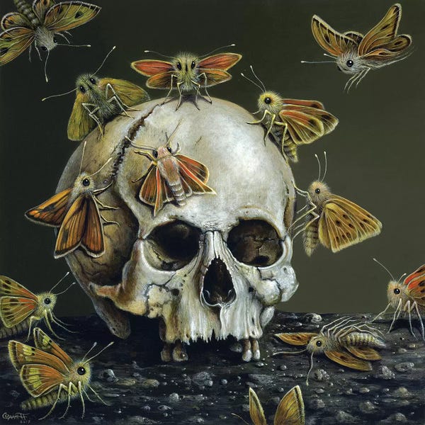 Skulls: Little Ghosts by R.S. Connett