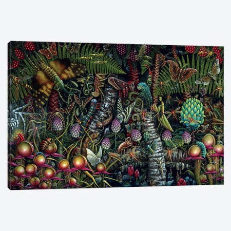Microcosmic Garden Canvas Print #RCN18} by R.S. Connett Canvas Wall Art