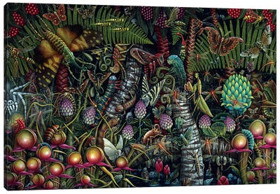 Microcosmic Garden Canvas Art Print - R.S. Connett