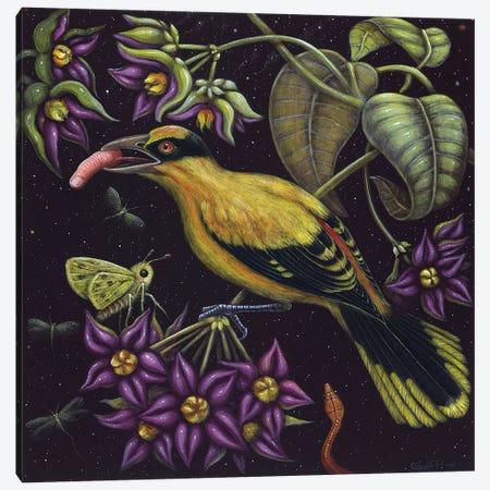 Birdfinger Canvas Print #RCN1} by R.S. Connett Canvas Art