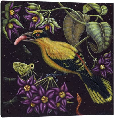 Birdfinger Canvas Art Print - R.S. Connett