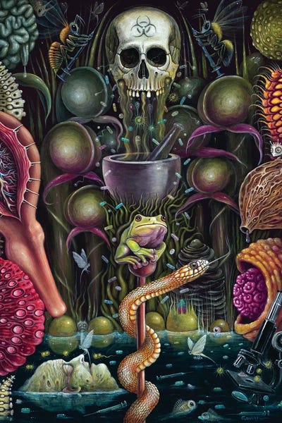 Skulls: Pharma Garden by R.S. Connett