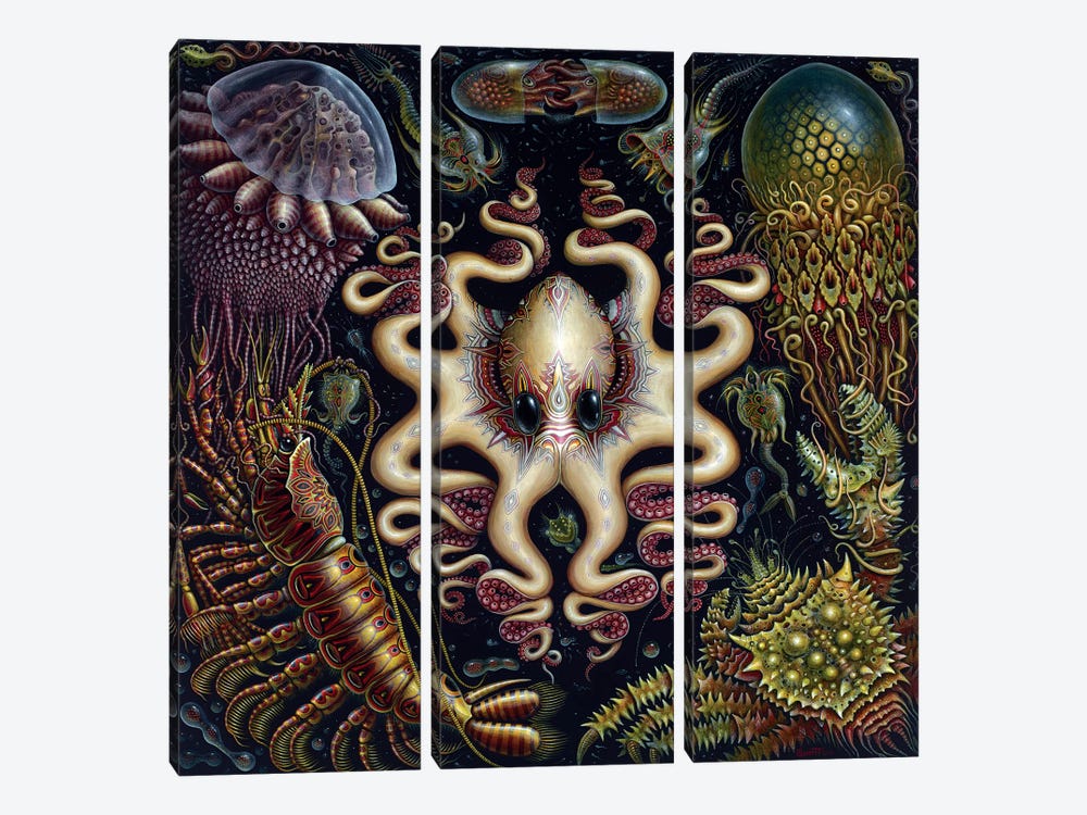 Sea Fauna by R.S. Connett 3-piece Canvas Art Print
