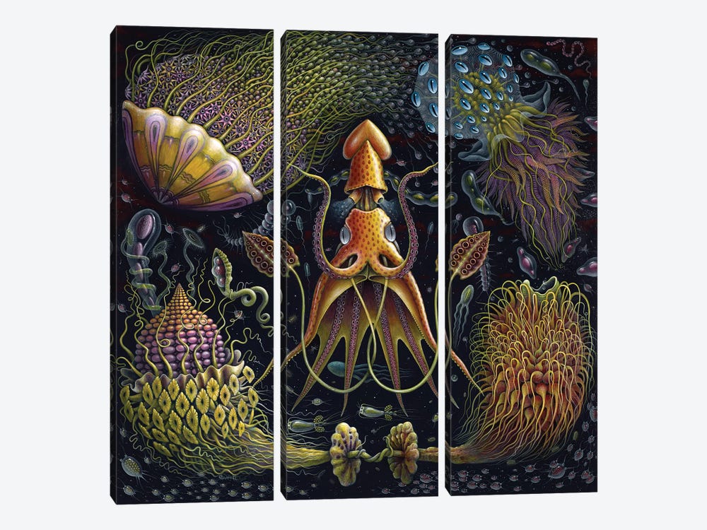 Sea Flowers by R.S. Connett 3-piece Canvas Art Print