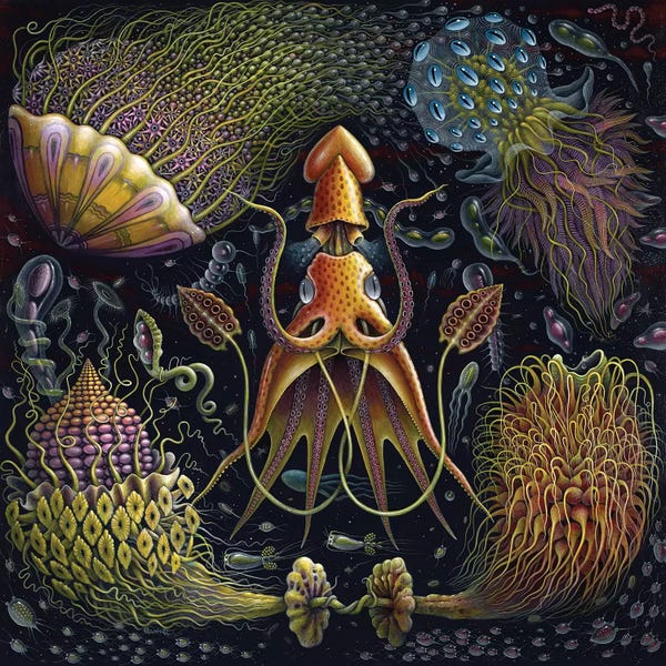 R.S. Connett: Sea Flowers by R.S. Connett