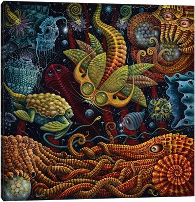 Seapods Canvas Art Print - R.S. Connett