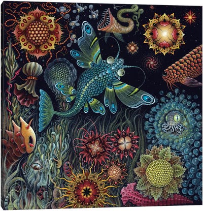 Starfish Canvas Art Print - Pop Surrealism & Lowbrow Art
