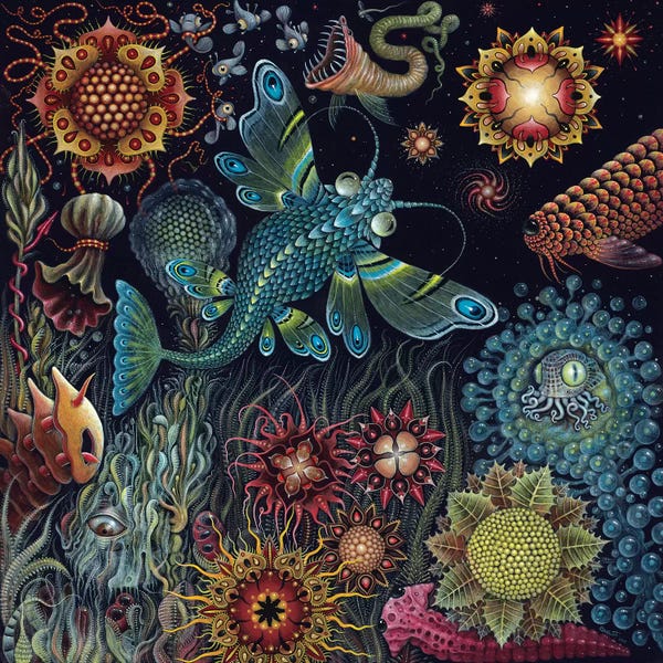 Pop Surrealism & Lowbrow: Starfish by R.S. Connett