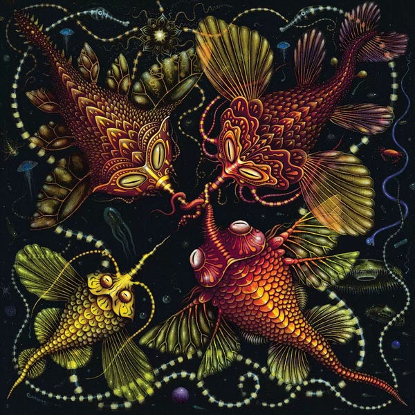 R.S. Connett: Symbiants by R.S. Connett
