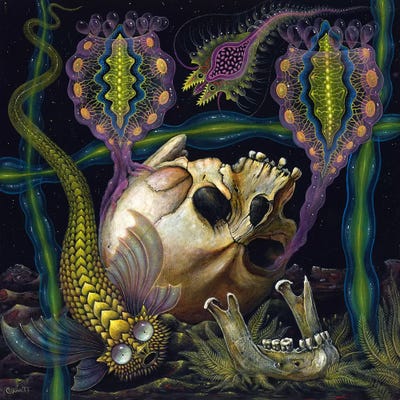 Vanitas by R.S. Connett art print